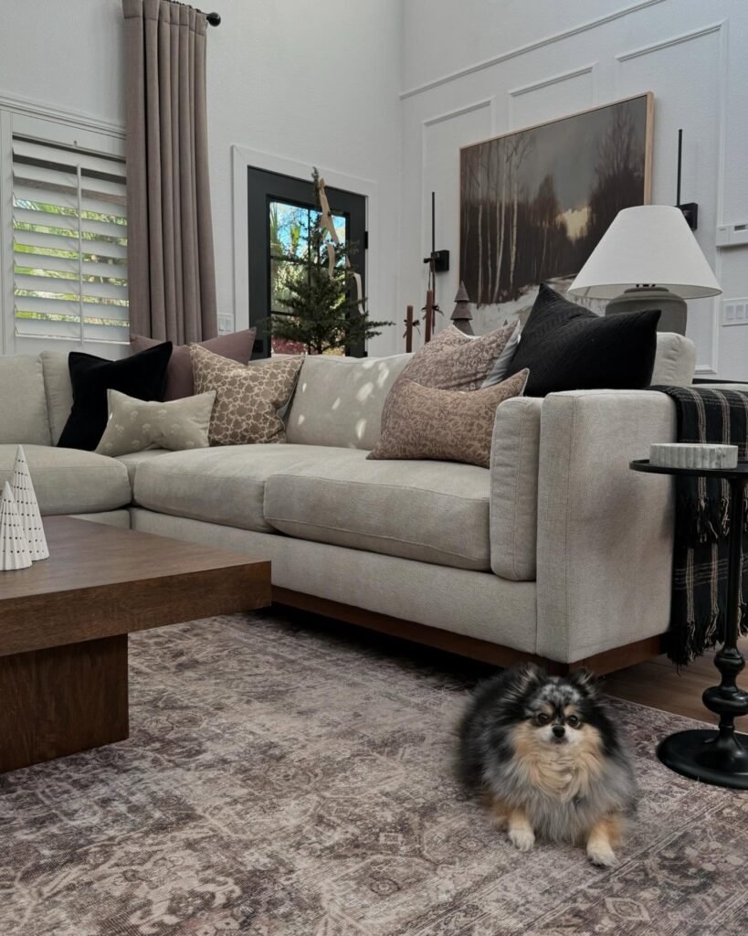 Cozy Grey Couch Living Room Ideas